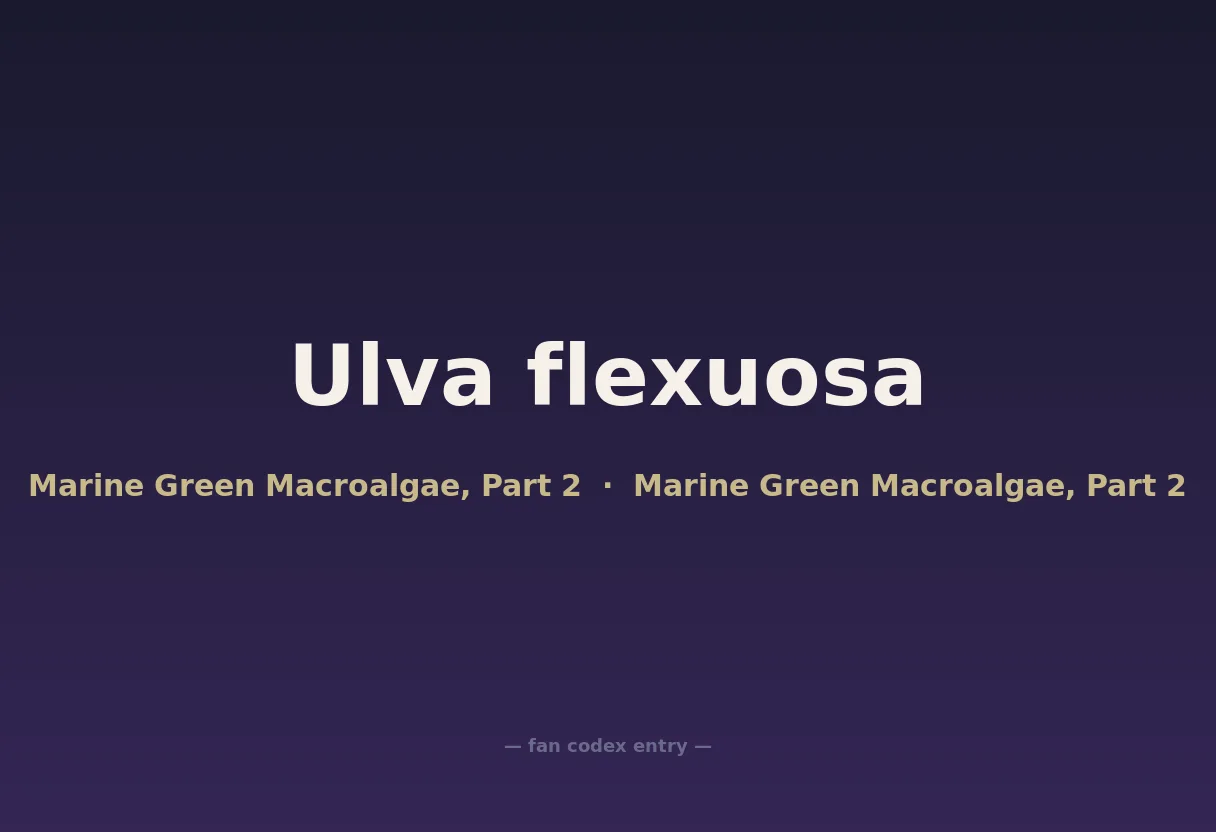 Ulva flexuosa
