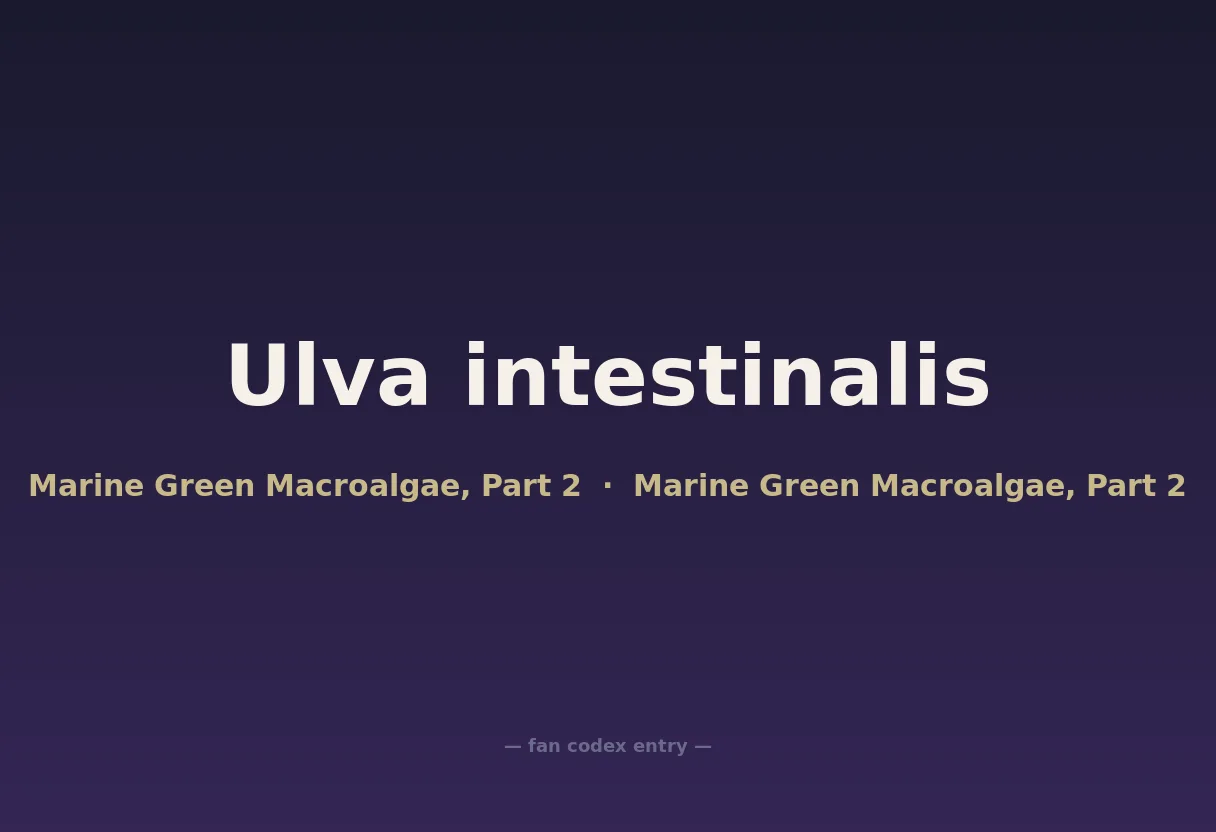 Ulva intestinalis