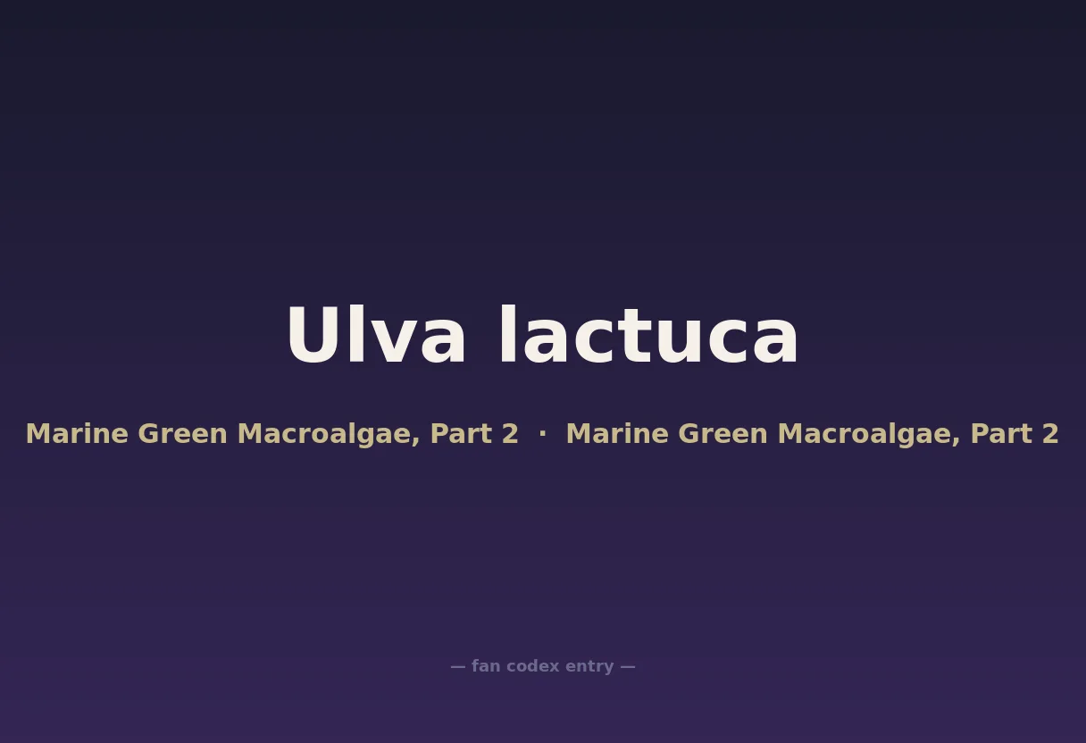 Ulva lactuca