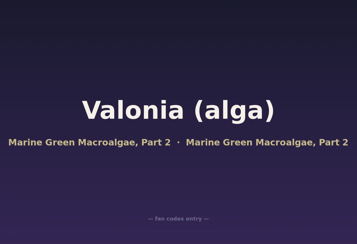 Valonia (alga)