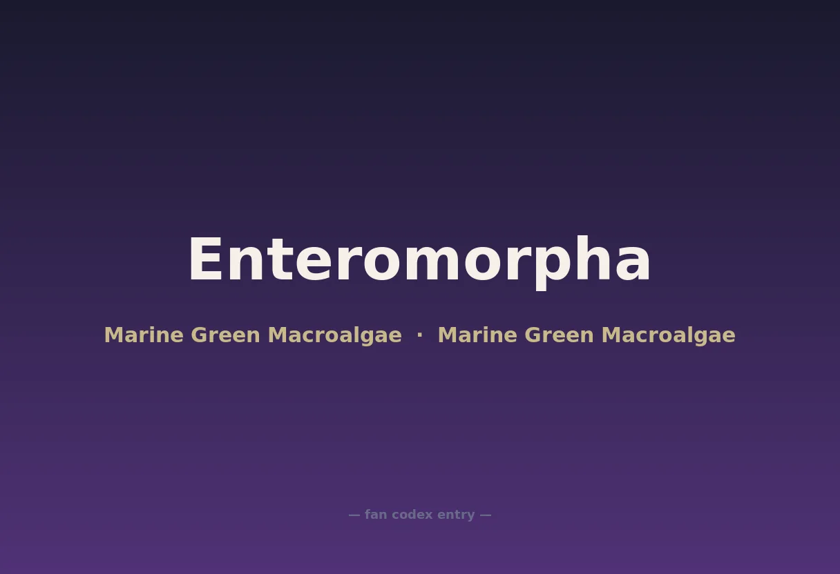 Enteromorpha