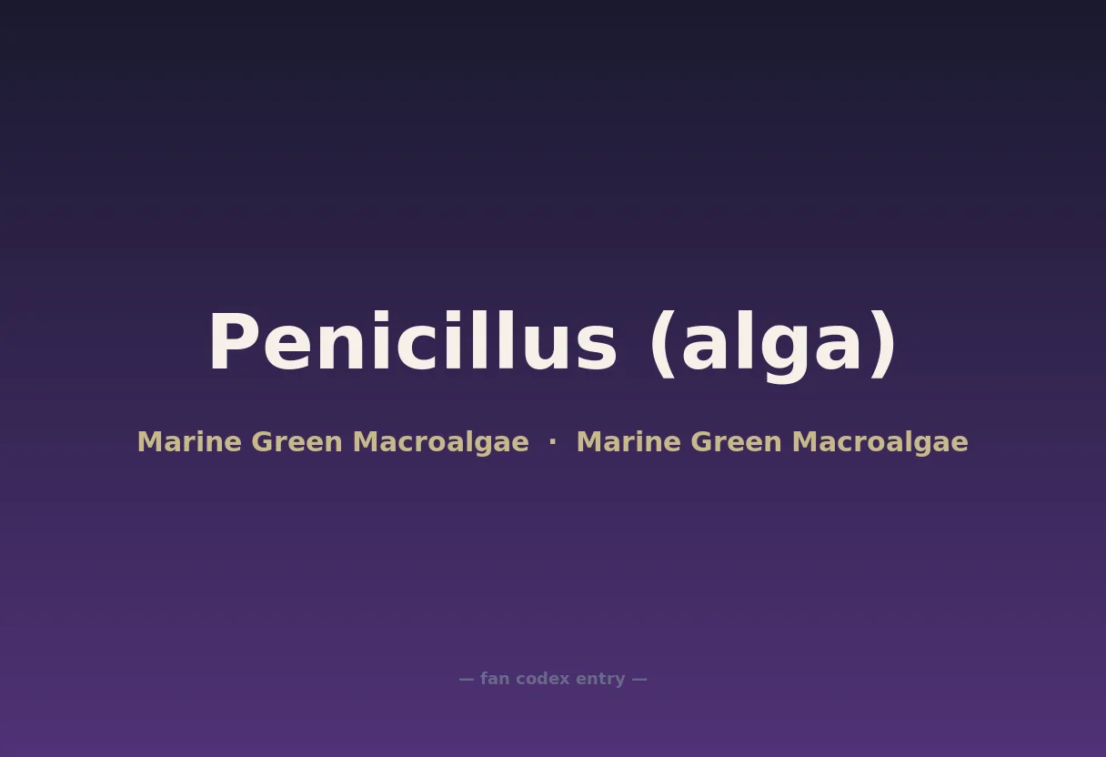 Penicillus (alga)