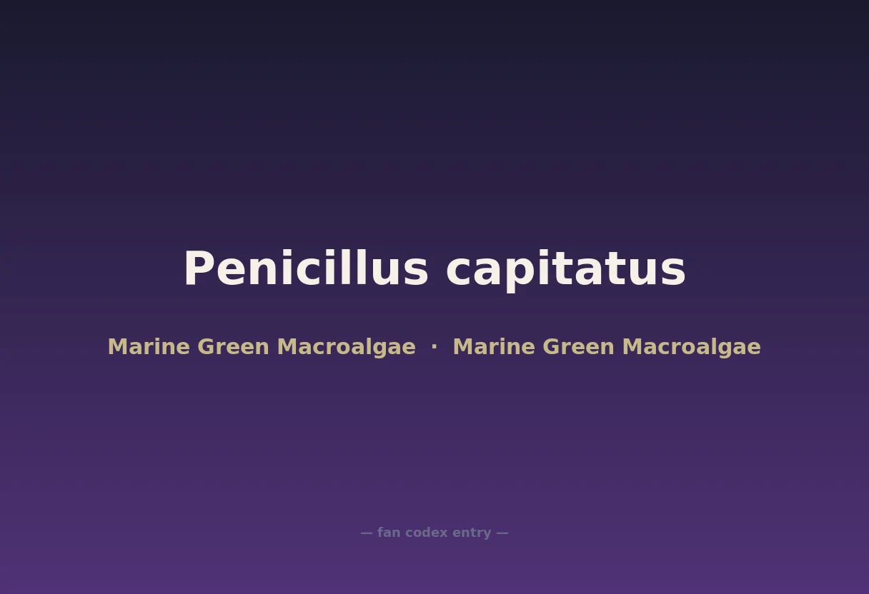 Penicillus capitatus