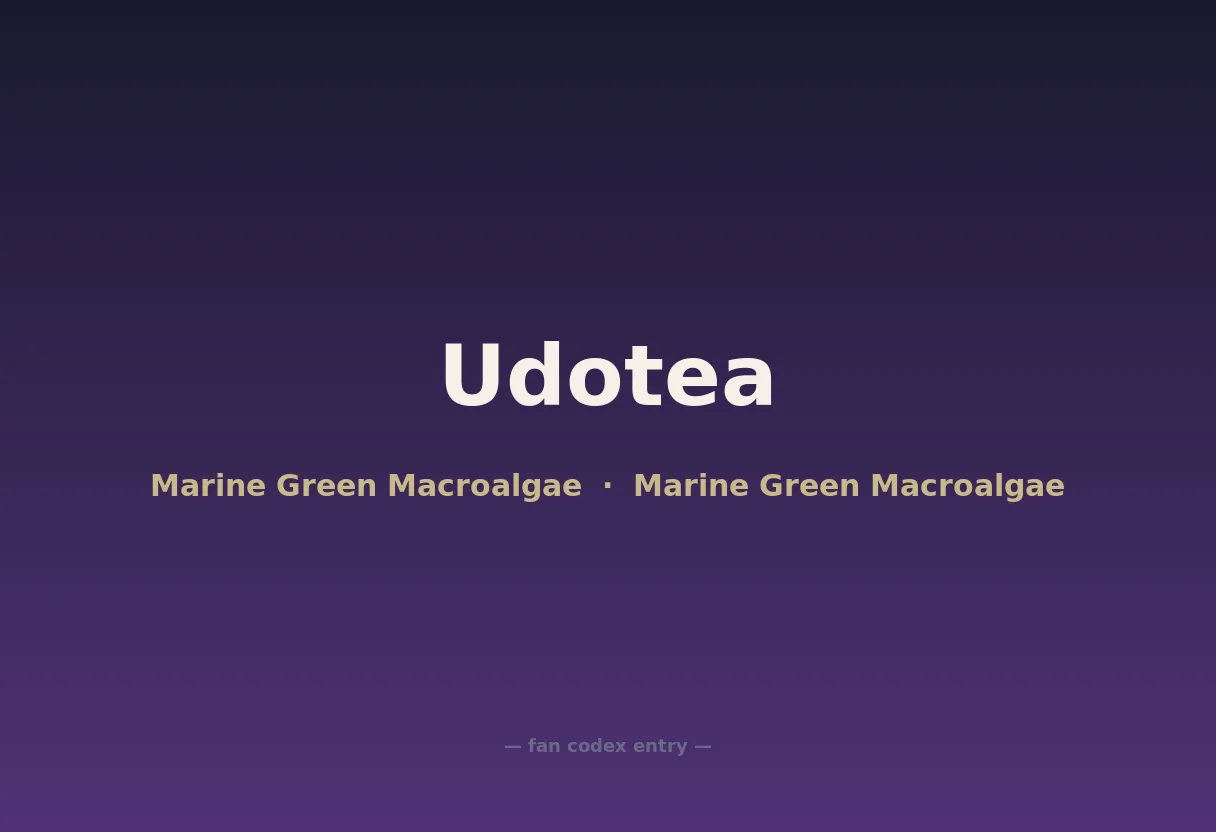 Udotea