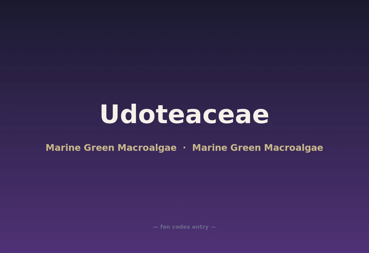 Udoteaceae