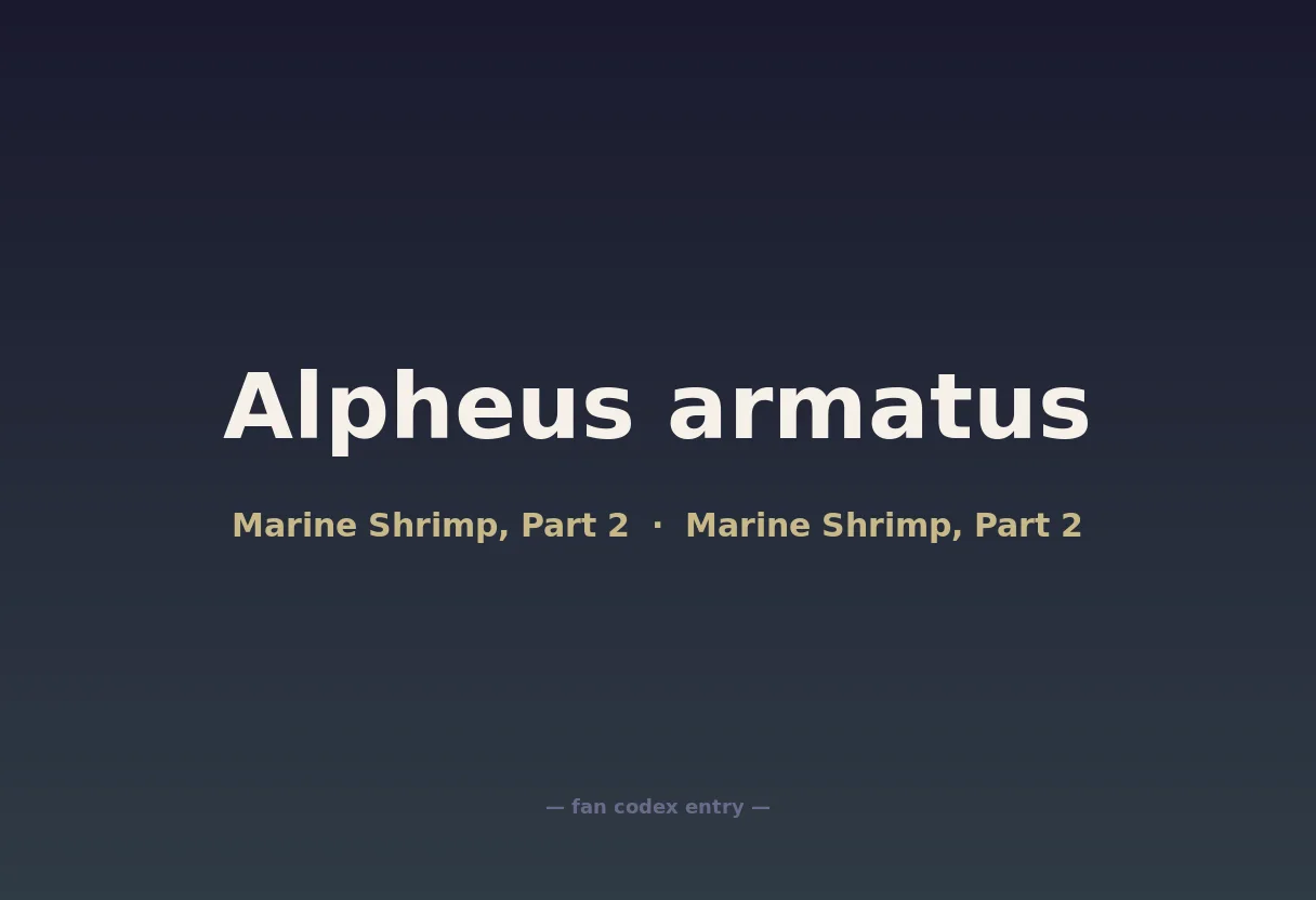 Alpheus armatus