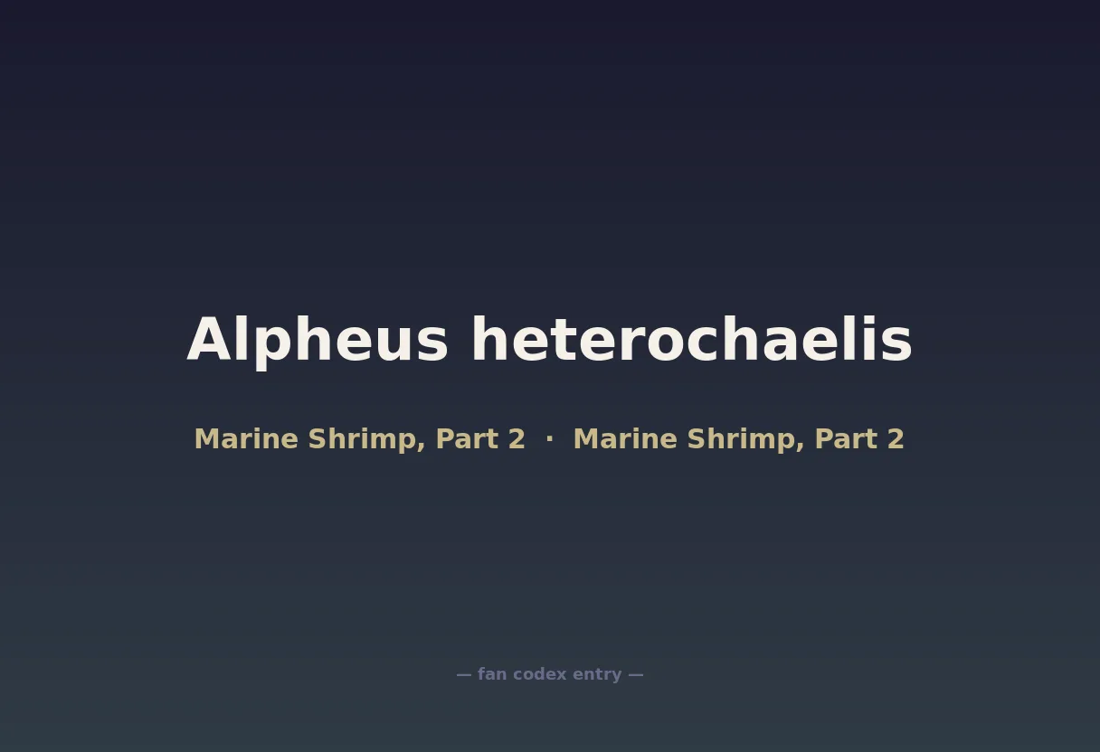 Alpheus heterochaelis