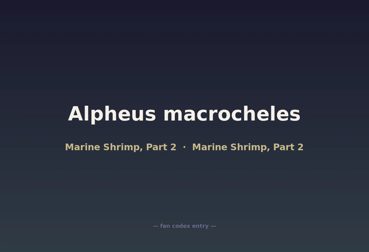 Alpheus macrocheles