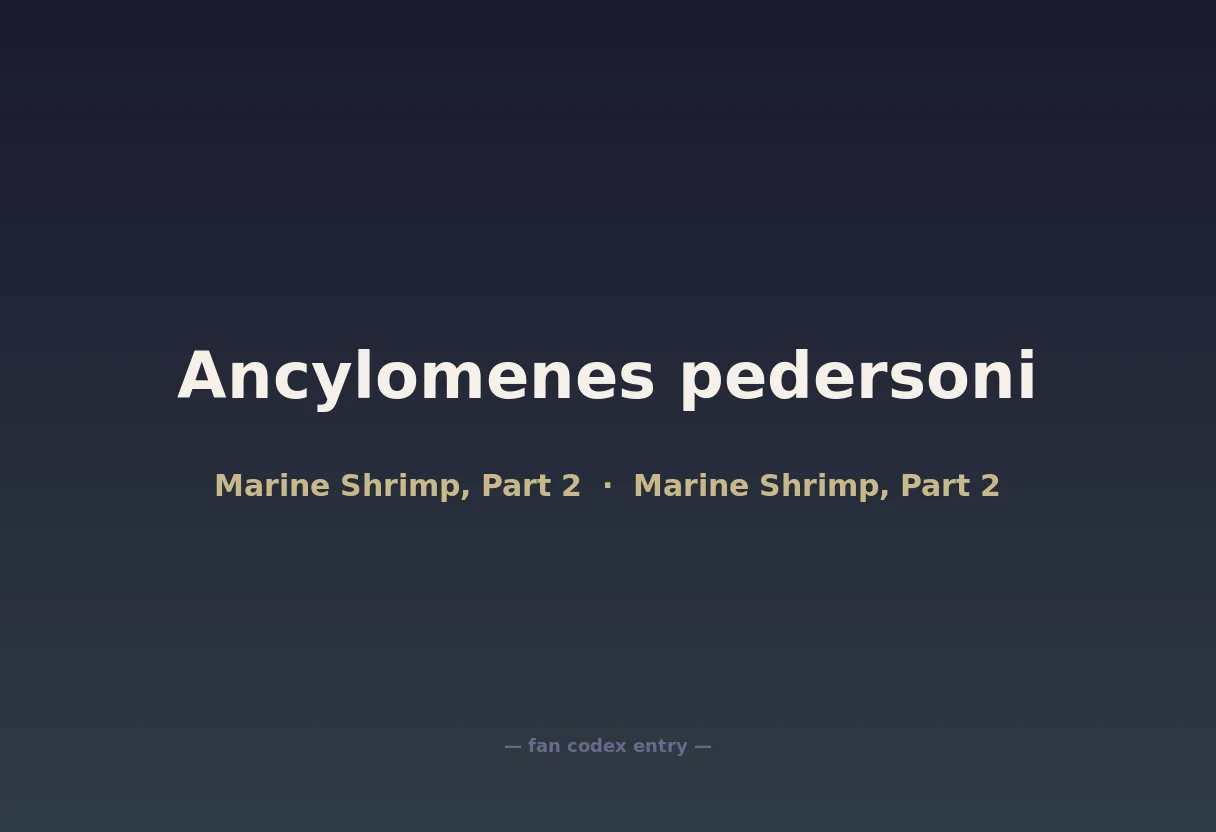 Ancylomenes pedersoni