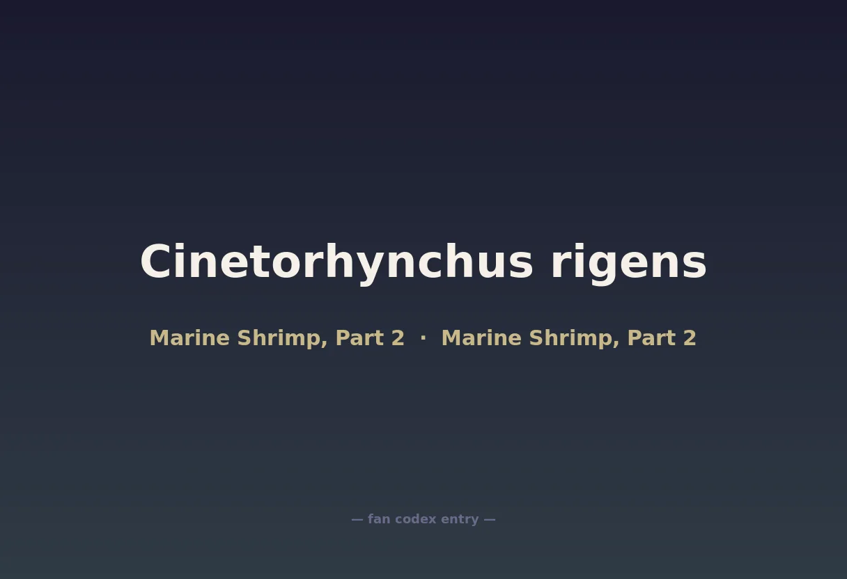 Cinetorhynchus rigens