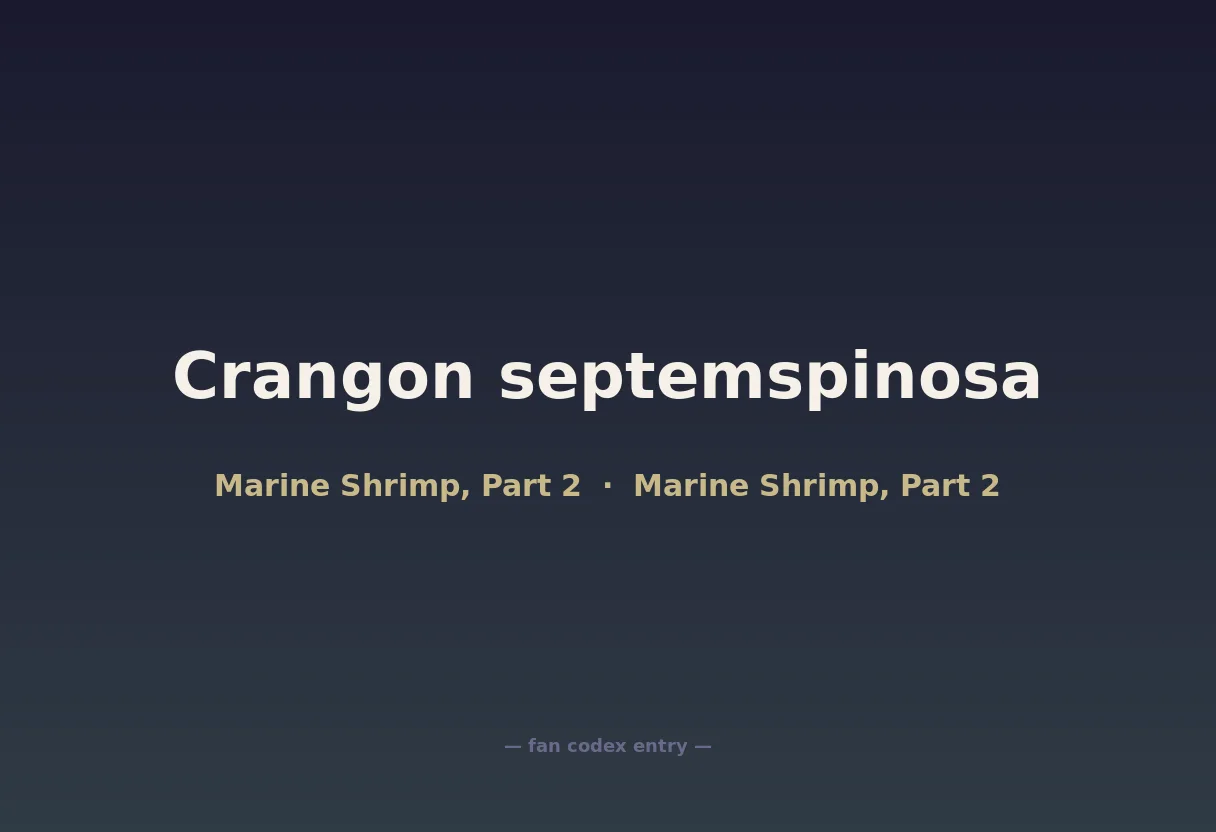 Crangon septemspinosa