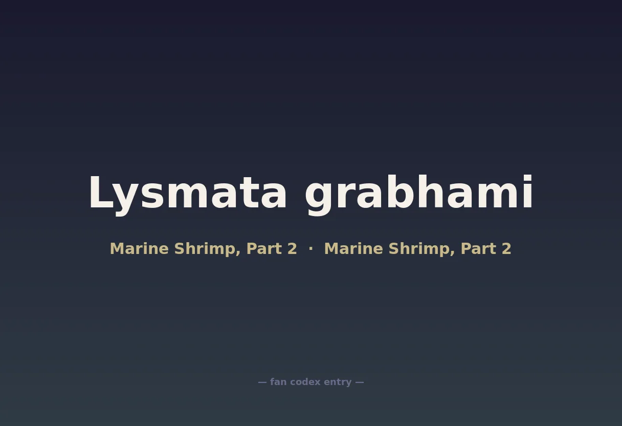 Lysmata grabhami