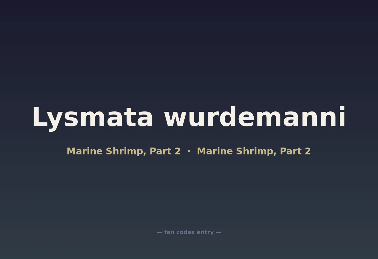 Lysmata wurdemanni