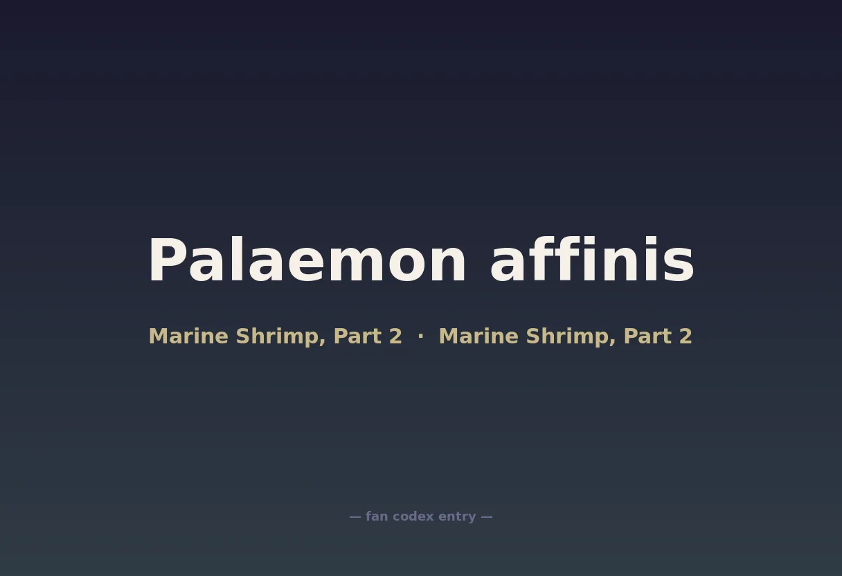 Palaemon affinis