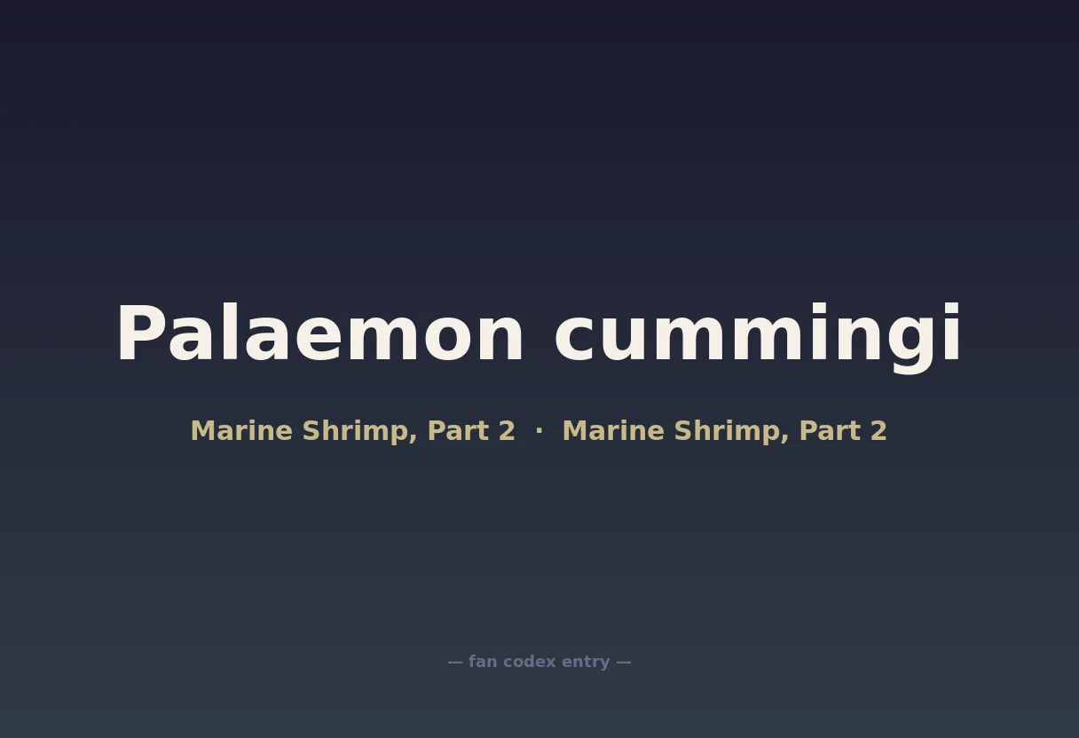 Palaemon cummingi