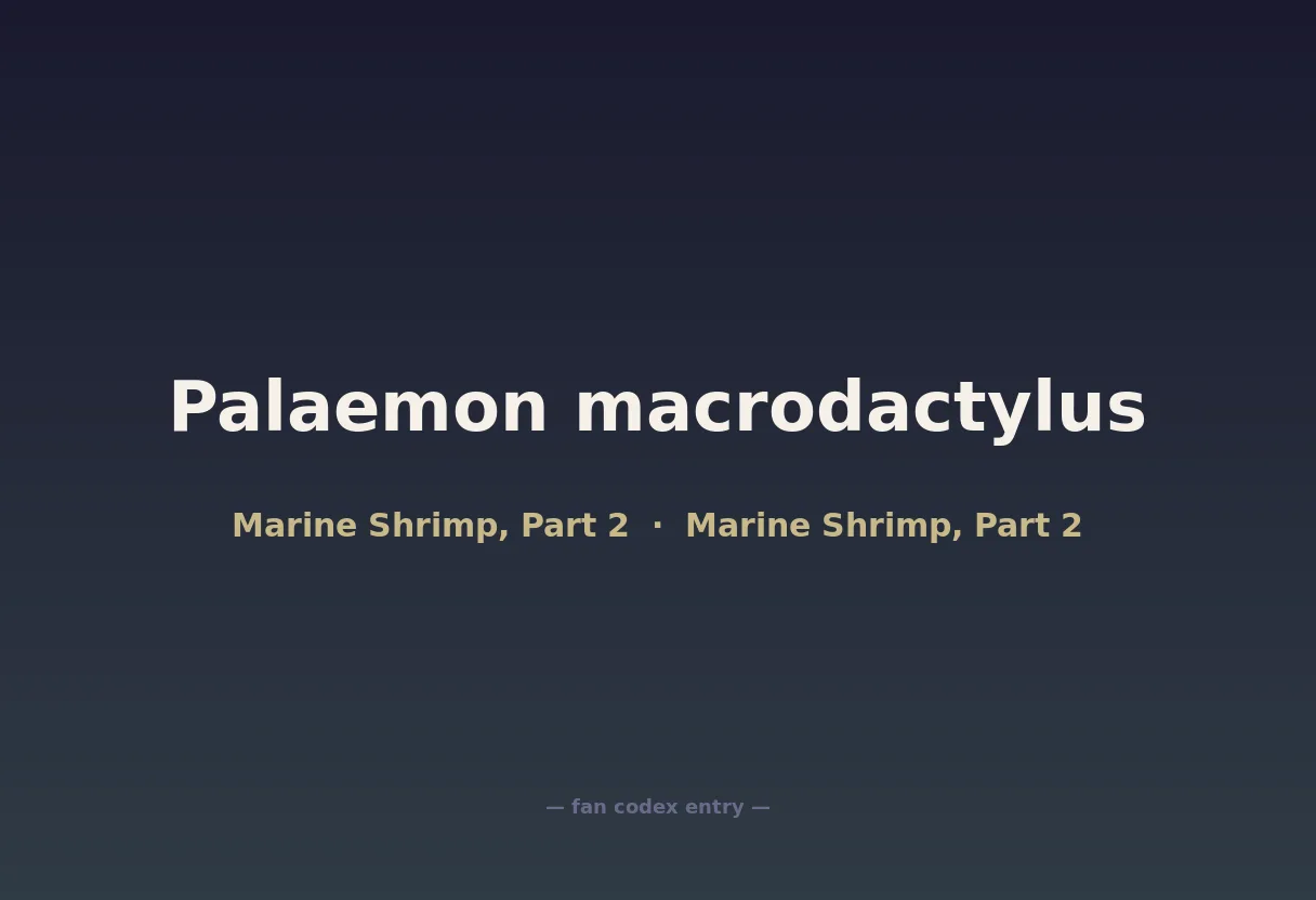 Palaemon macrodactylus