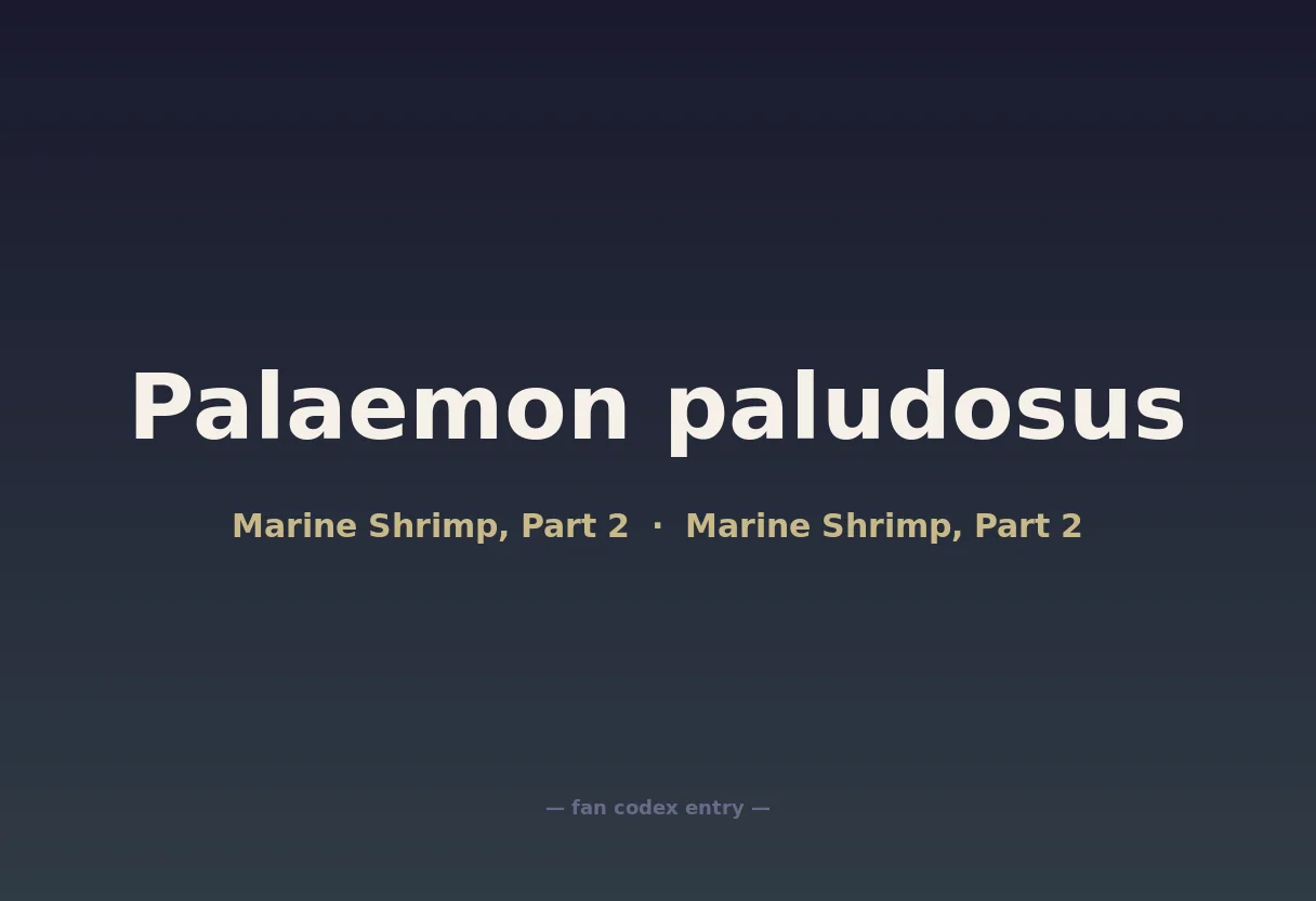 Palaemon paludosus