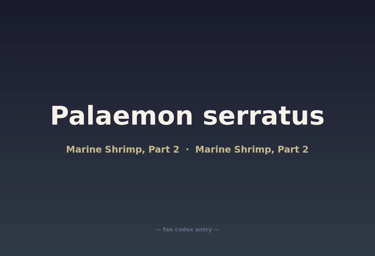 Palaemon serratus