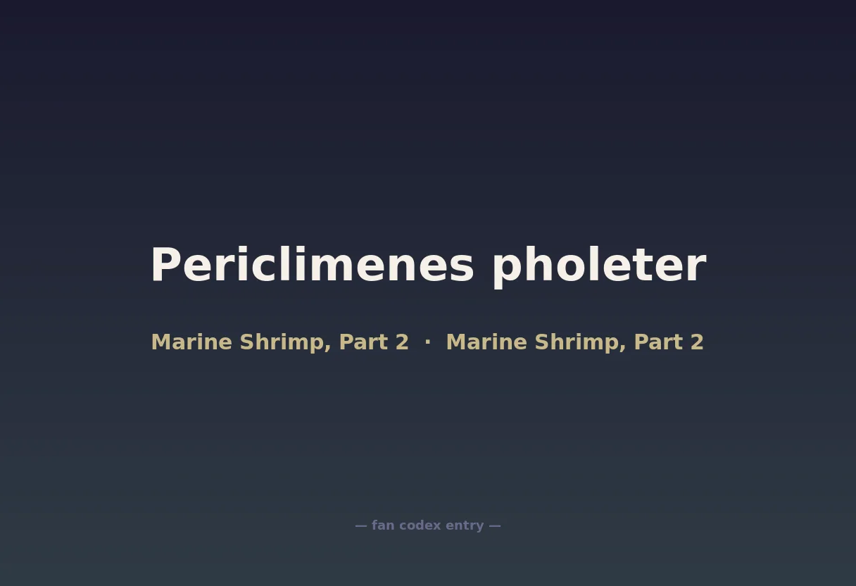 Periclimenes pholeter
