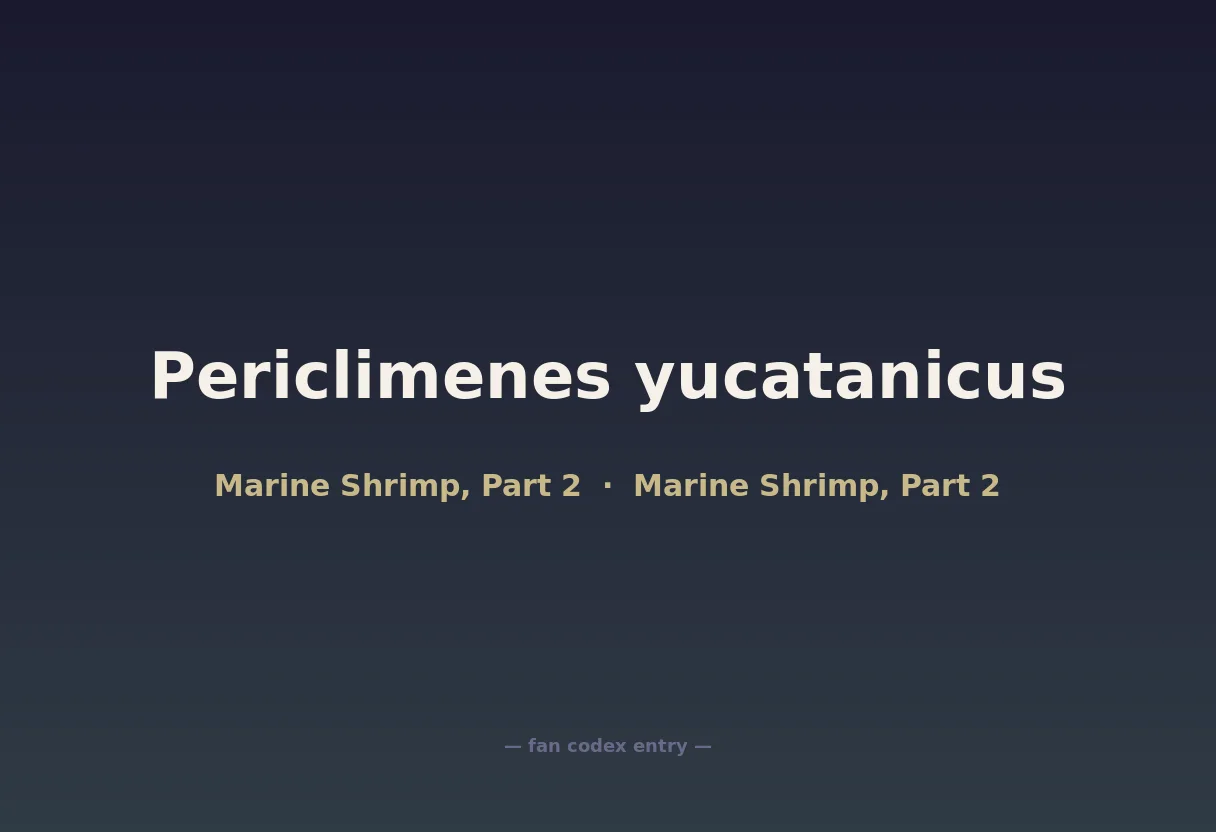 Periclimenes yucatanicus