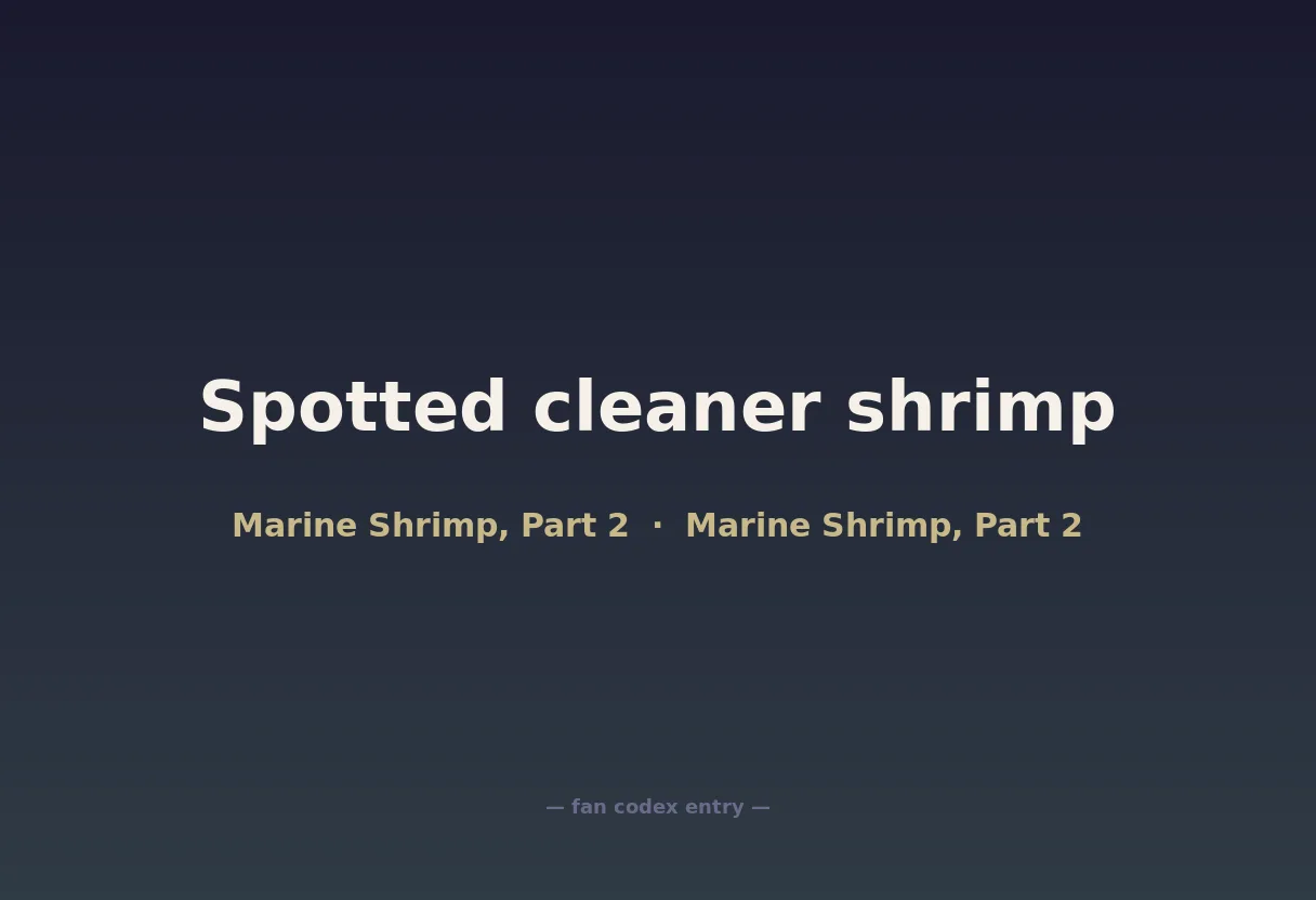 Spotted cleaner shrimp