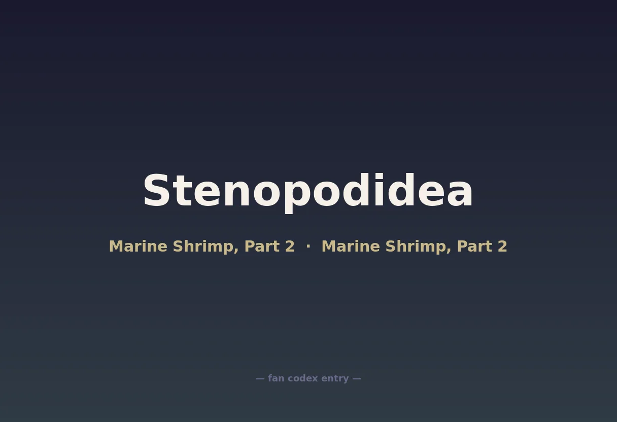 Stenopodidea