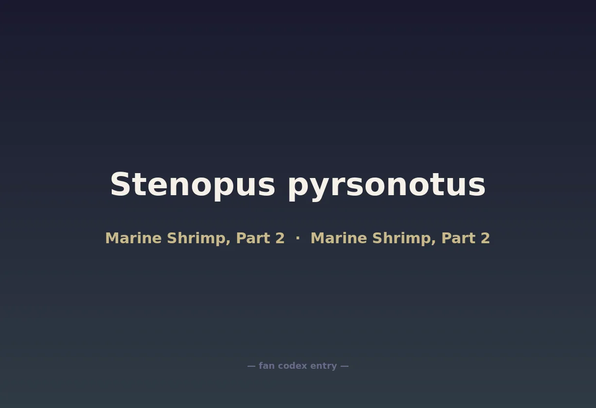 Stenopus pyrsonotus