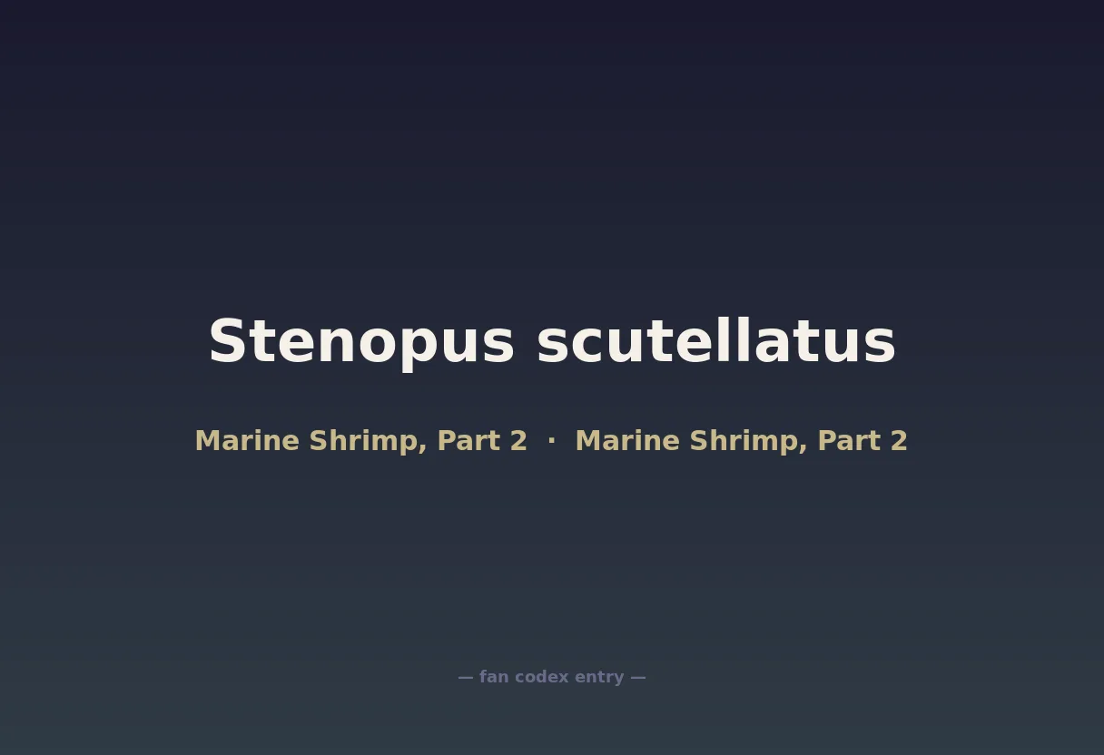 Stenopus scutellatus