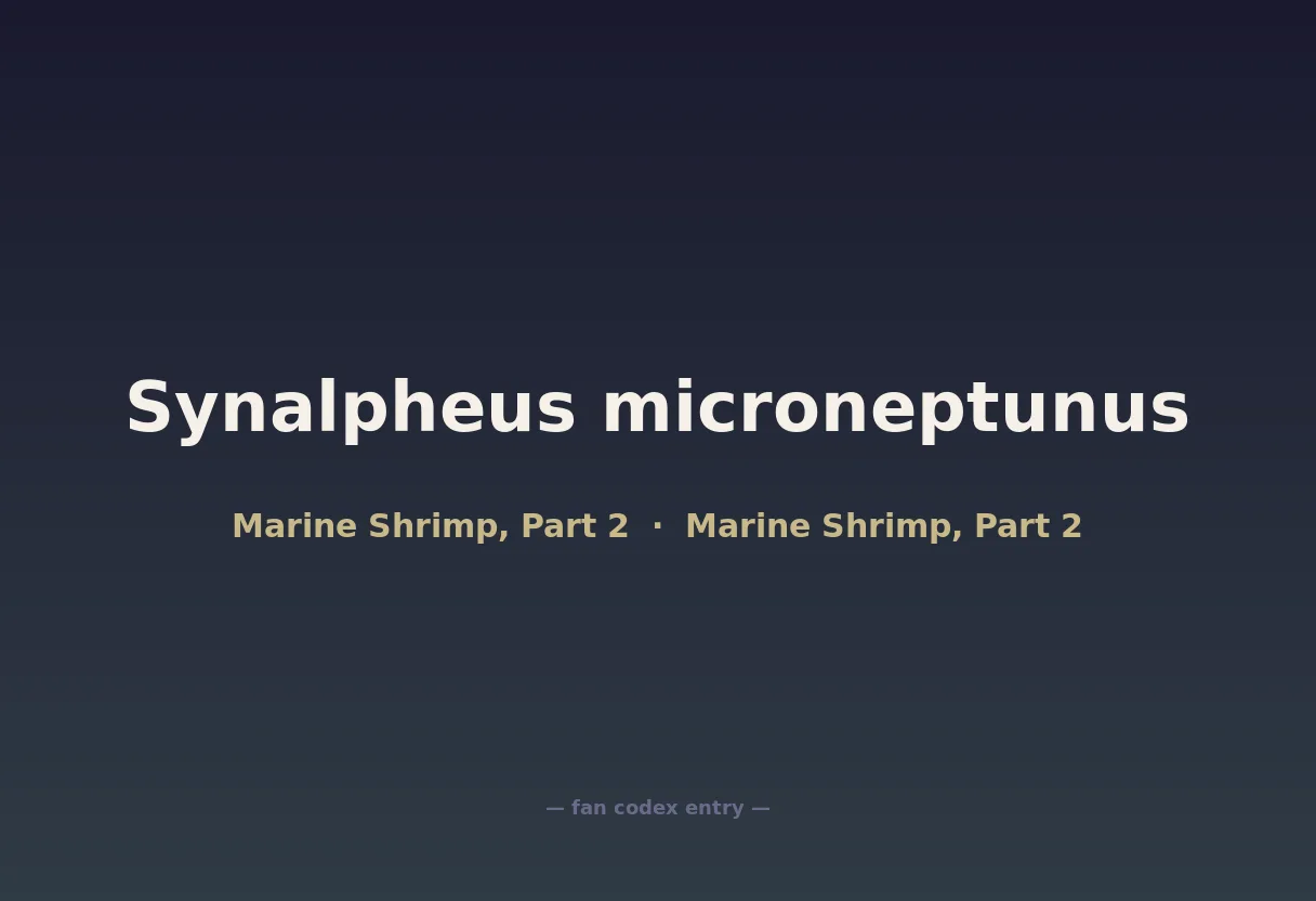 Synalpheus microneptunus