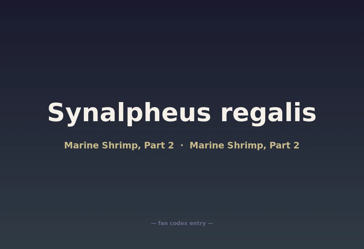 Synalpheus regalis