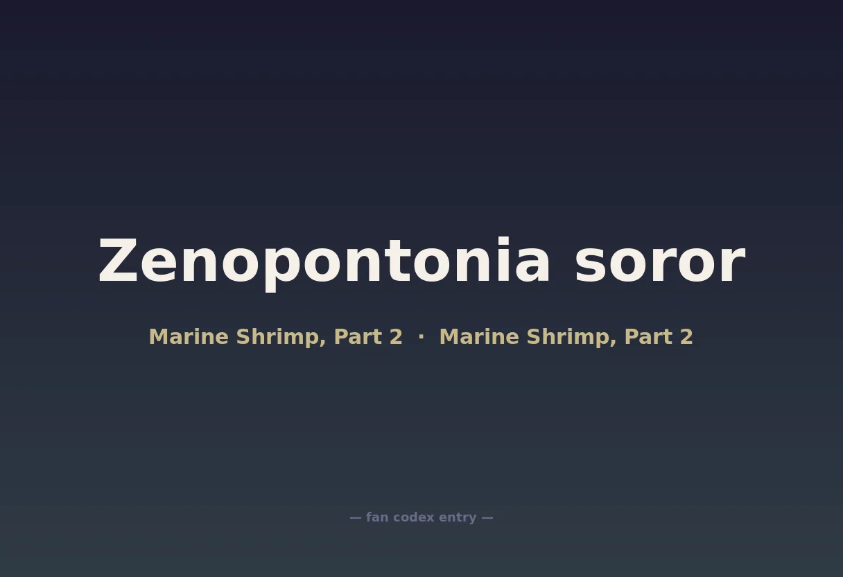 Zenopontonia soror