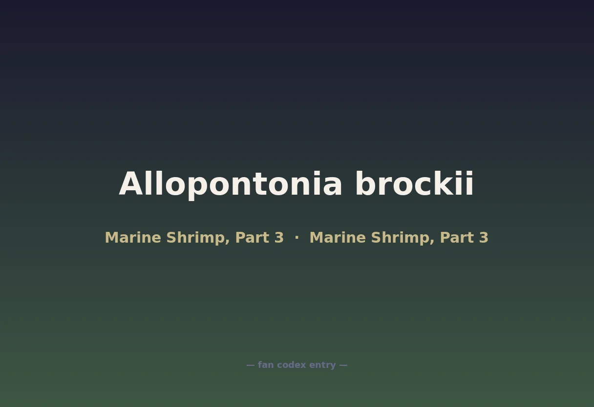 Allopontonia brockii