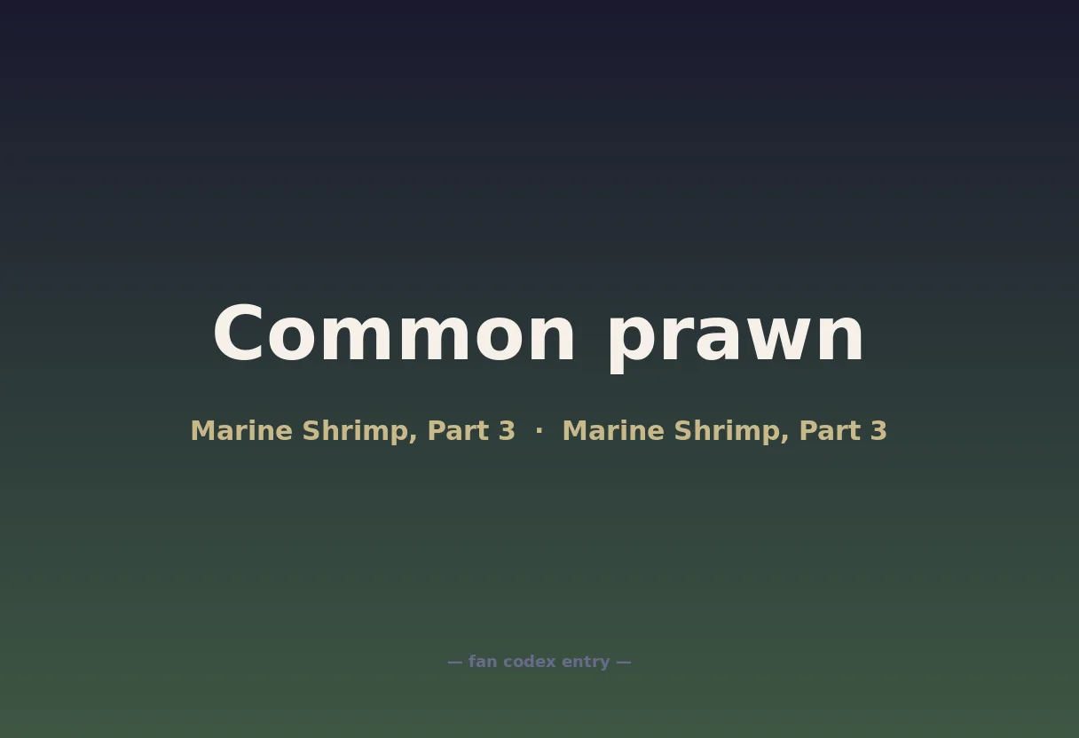 Common prawn