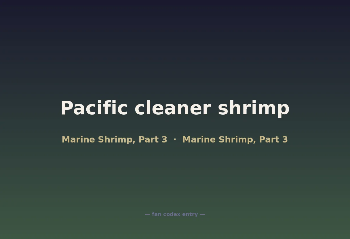 Pacific cleaner shrimp