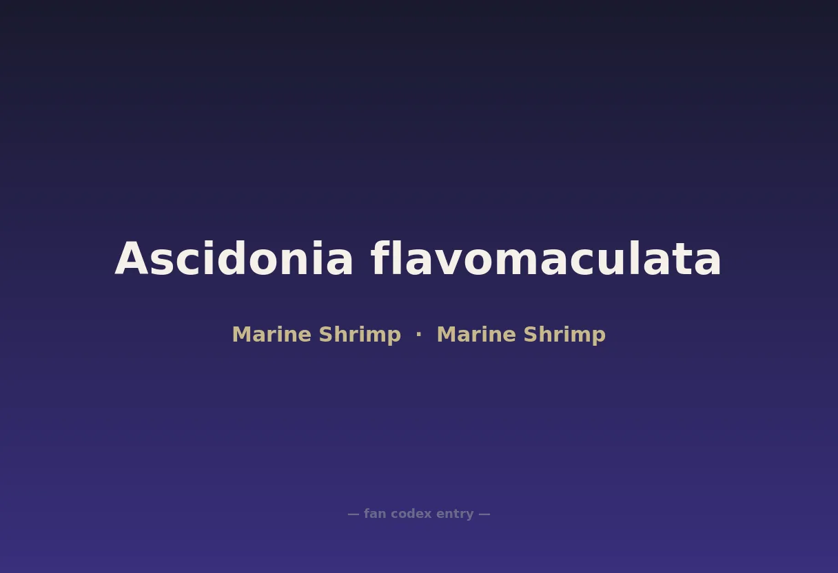 Ascidonia flavomaculata