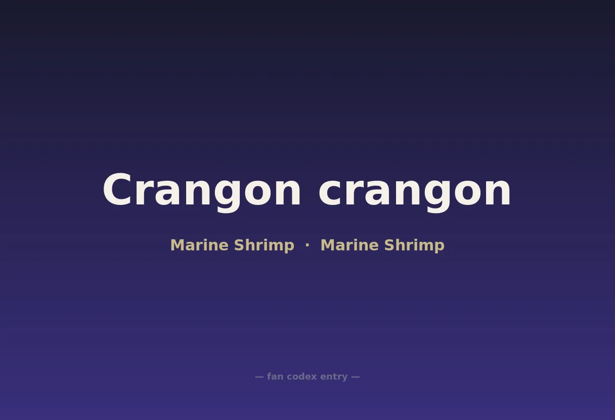 Crangon crangon