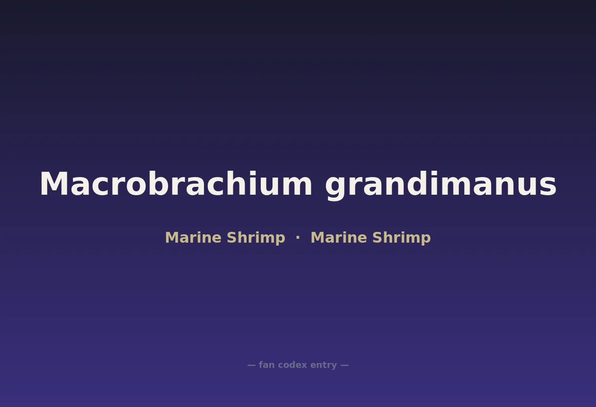 Macrobrachium grandimanus