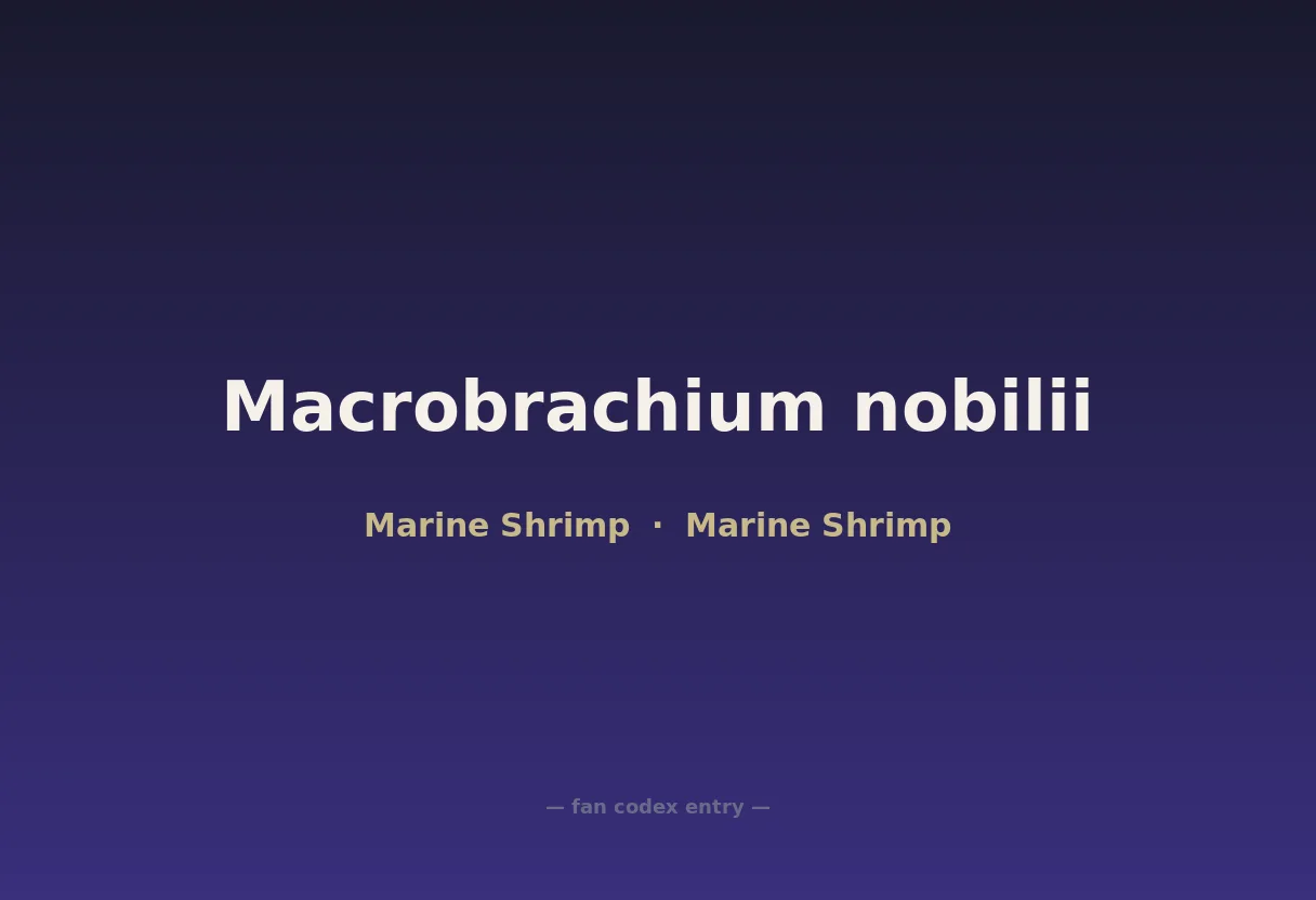 Macrobrachium nobilii