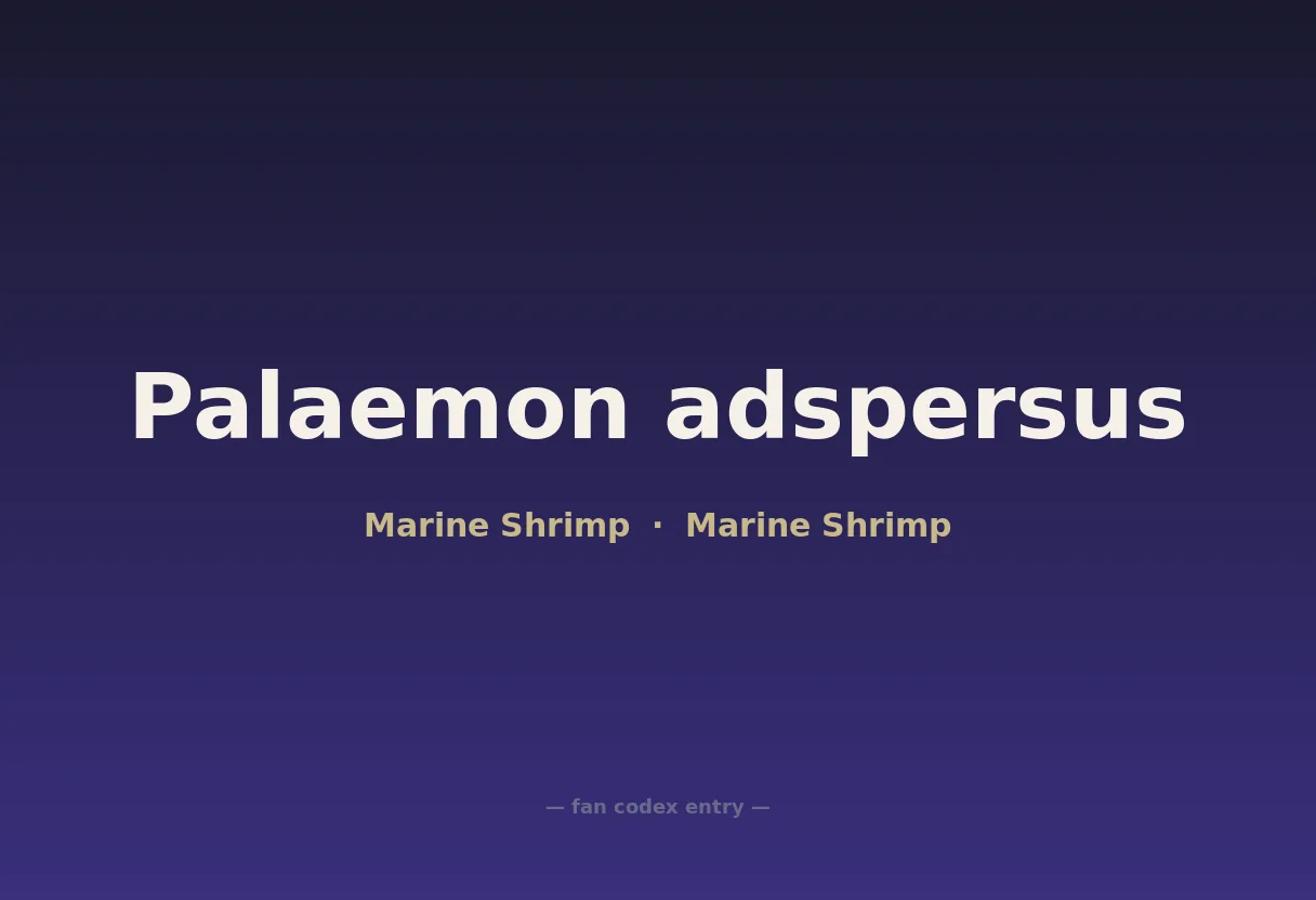 Palaemon adspersus