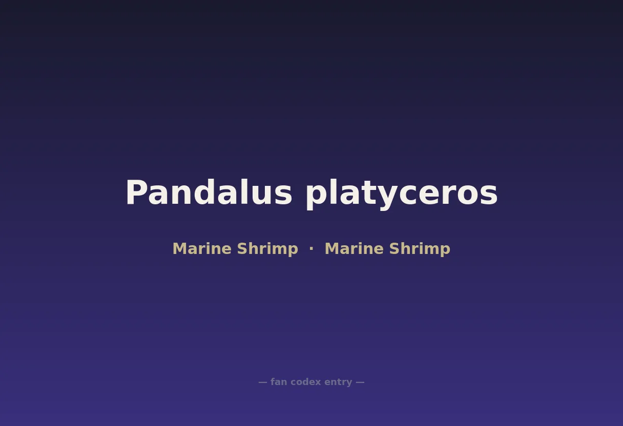 Pandalus platyceros