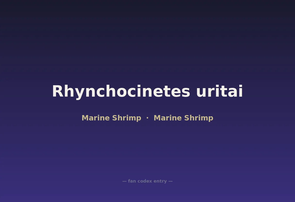Rhynchocinetes uritai