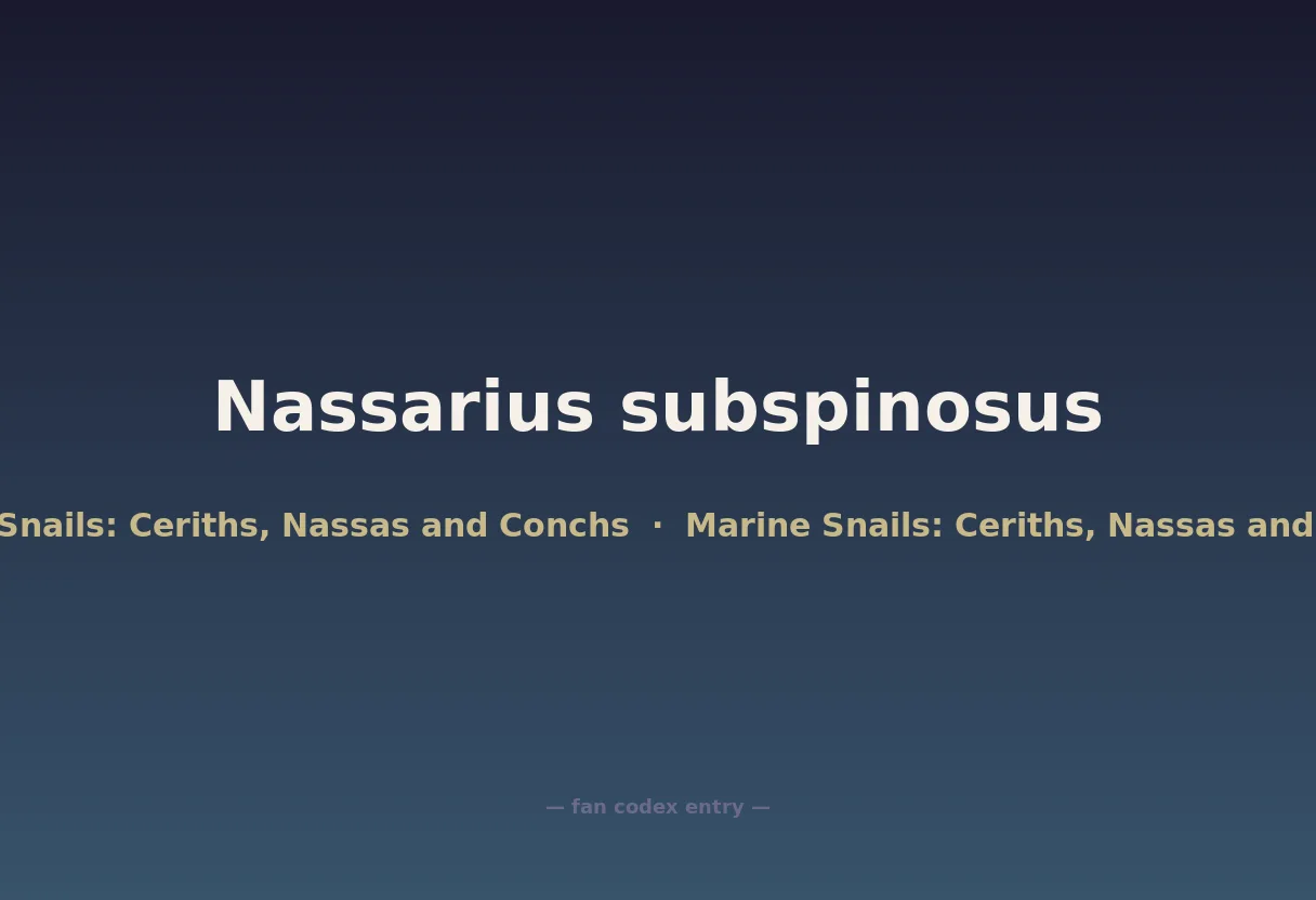 Nassarius subspinosus