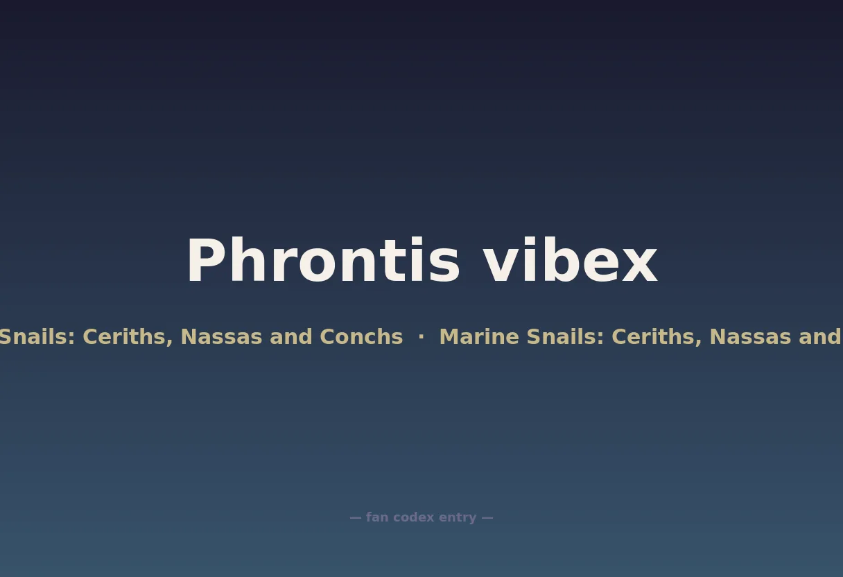 Phrontis vibex
