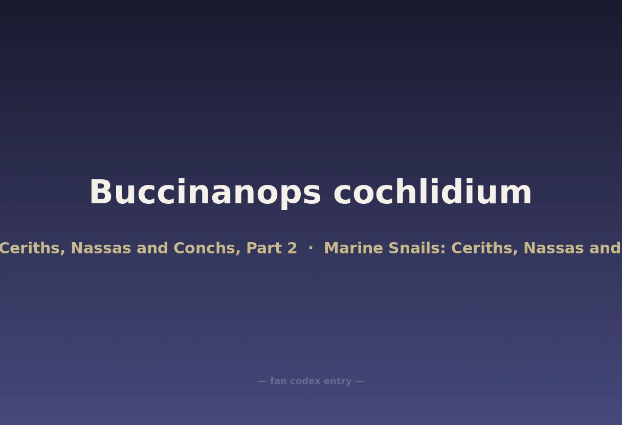 Buccinanops cochlidium