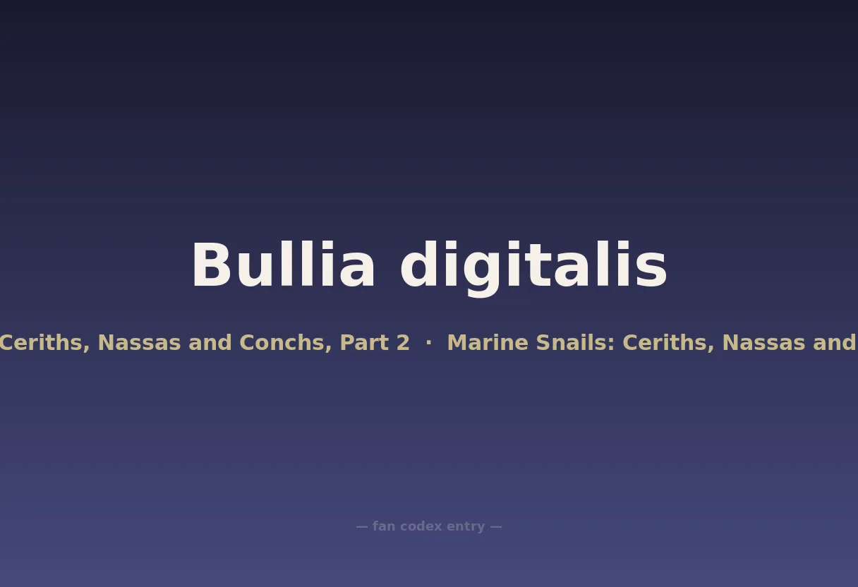 Bullia digitalis