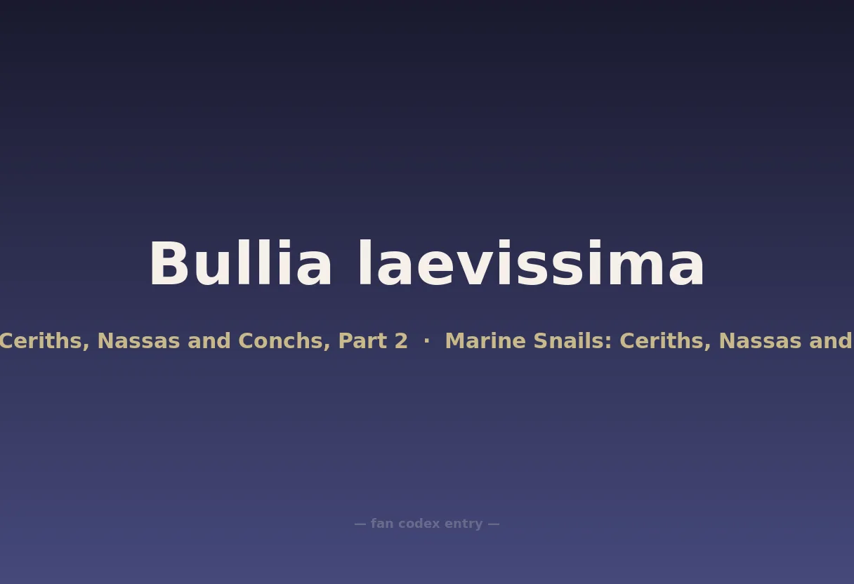 Bullia laevissima