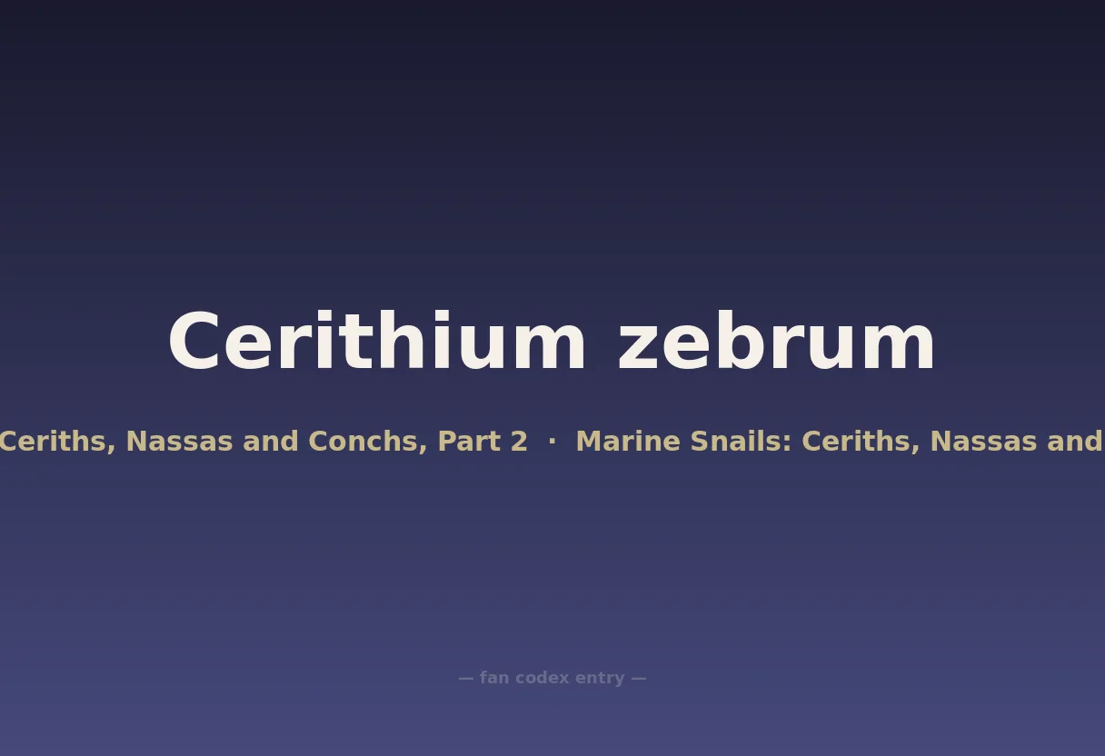 Cerithium zebrum