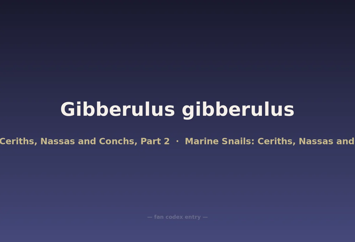 Gibberulus gibberulus