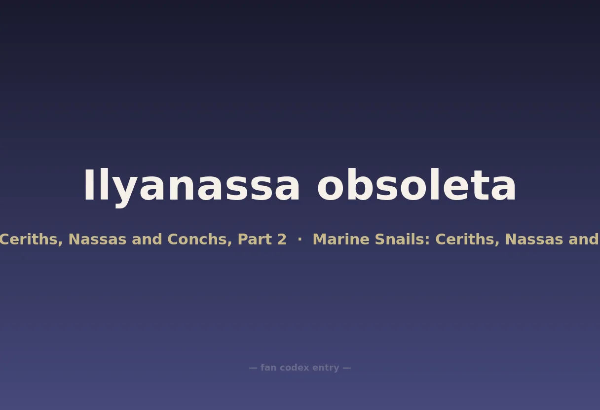 Ilyanassa obsoleta