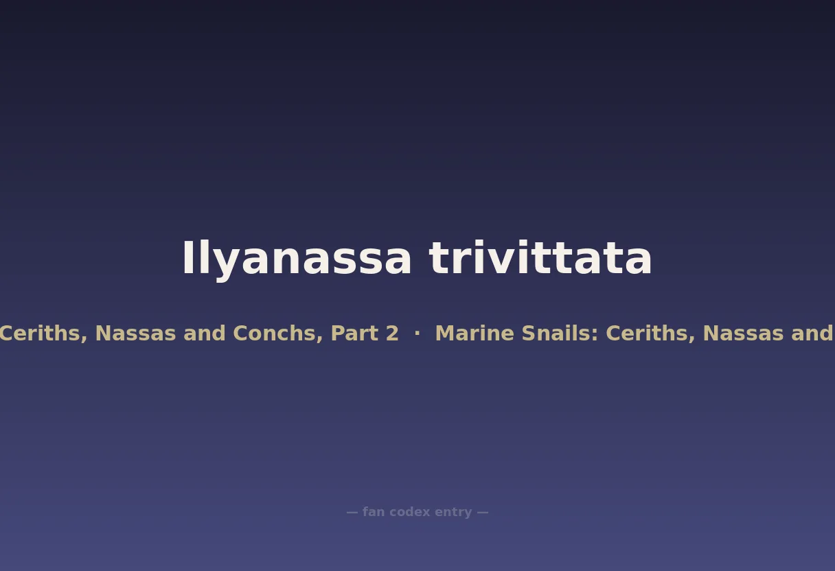 Ilyanassa trivittata